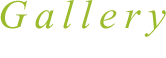 Gallery ギャラリー