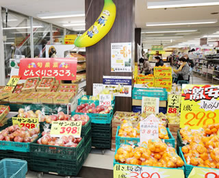 旬果菜 どんぐりころころ